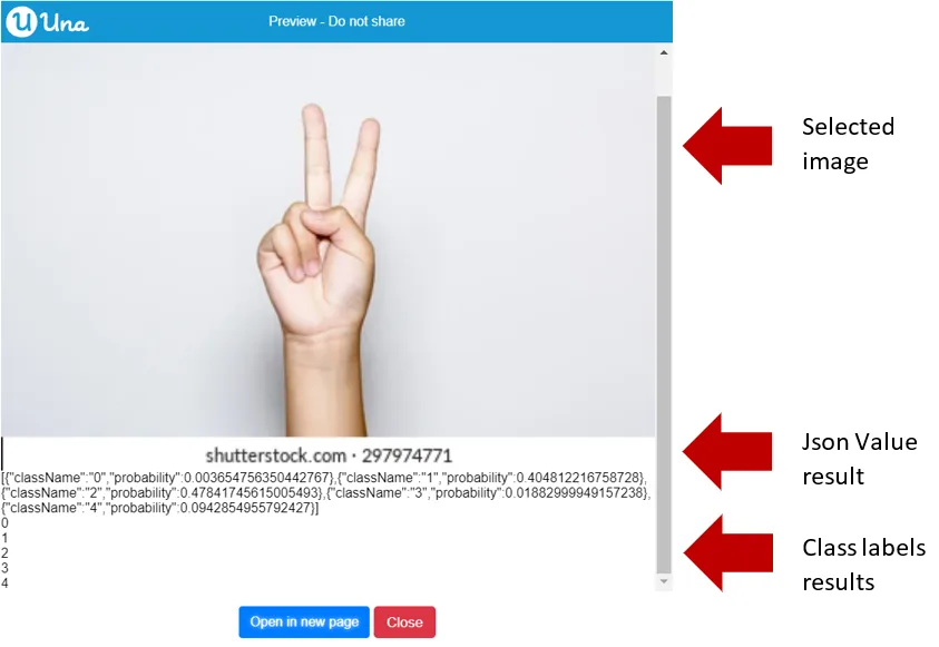 Image Model get class labels - Output