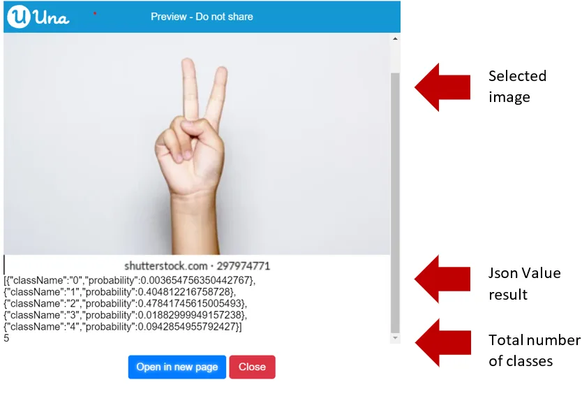 Image Model get total number of classes - Output