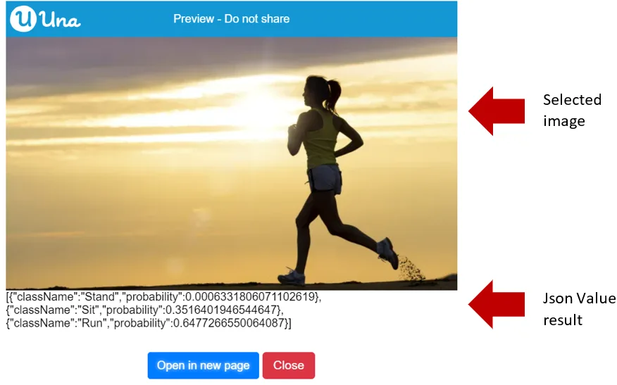 Load pose model from internet - Output