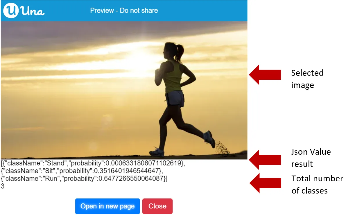 Pose Model get total number of classes - Output