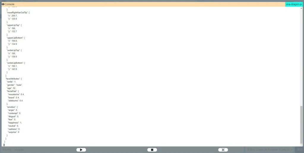 Detect Face in Photo - Output 3